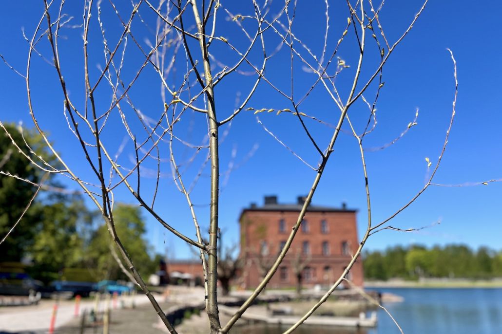 Kuvassa Lapinlahden rantapenkere ja Venetsia-talo, sinistä taivasta, puita