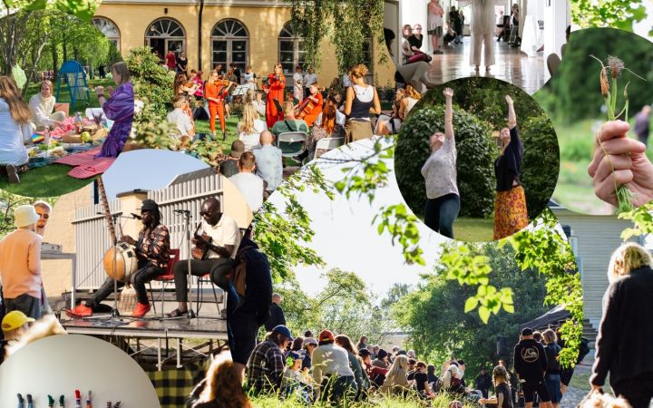 Kollaasi, jossa kuvia musiikki- ja liikuntatapahtumista sekä viljelypalstan porkkanasta.