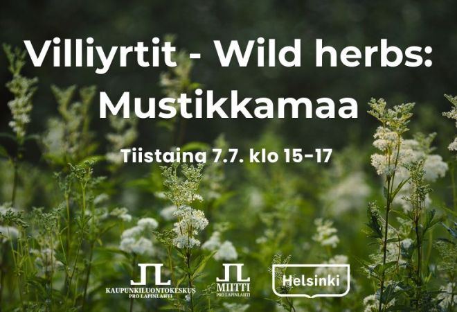 Villiyrtit wild herbs mustikkamaa tapahtuman aika ja logot. Taustakuvassa kukkivia mesiangervoja