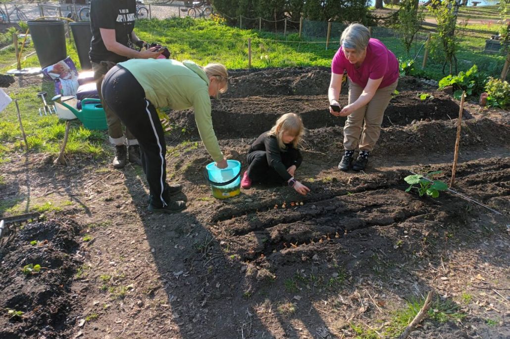 Yhteisöviljelykerho