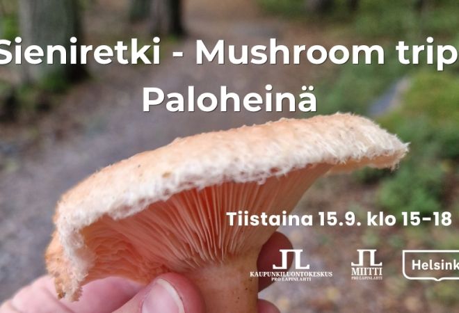 Sieniretki Mushroom trip Paloheinä kuva jossa infot ja logot. Taustakuvassa ohjaajan kädessä iso karvarousku ja metsää taustalla
