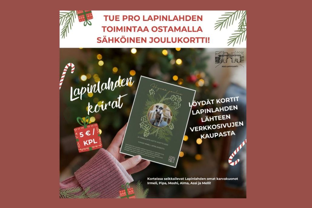 Lapinlahden koirat -joulukortit myynnissä