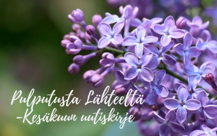 Kesäkuun uutiskirje – Pulputuksia Lähteeltä