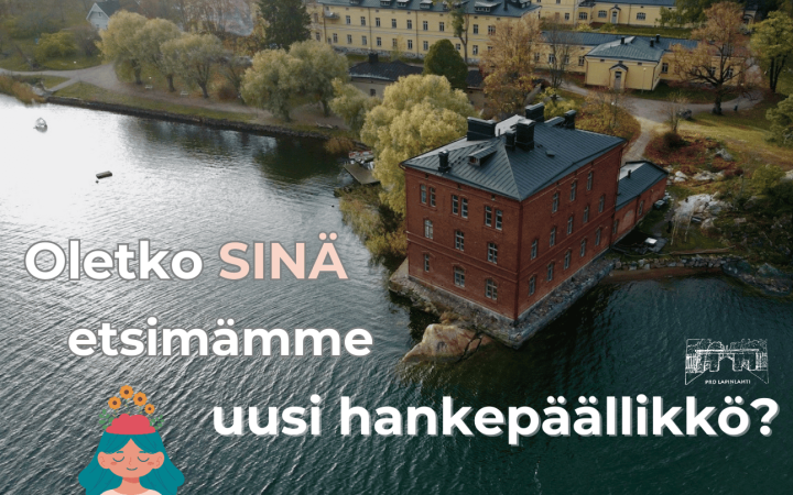 Kuvassa Lapinlahden alue