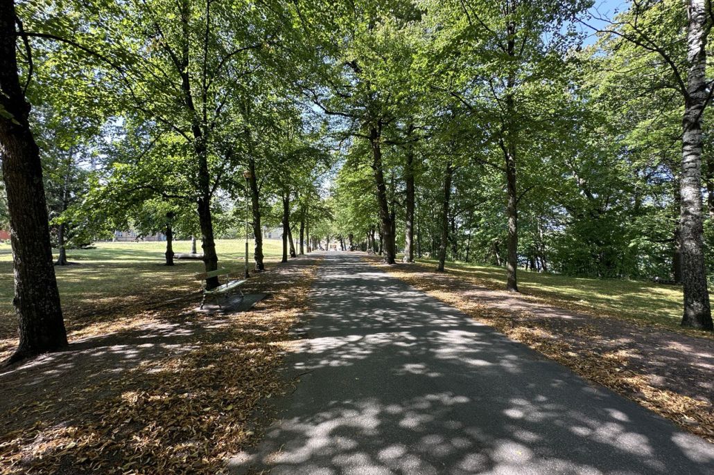 Kuvassa Lapinlahden Lähteen puukuja kesäisessä vehreydessä.