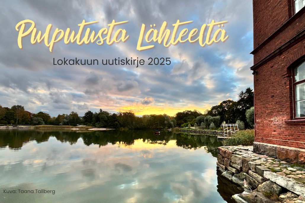 Aamuruskoa Lapinlahdessa merenrannassa, tiilirakennus ja ruskaisia puita.