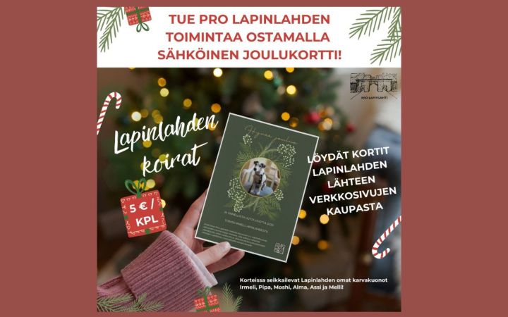 Lapinlahden koirat -joulukortit myynnissä