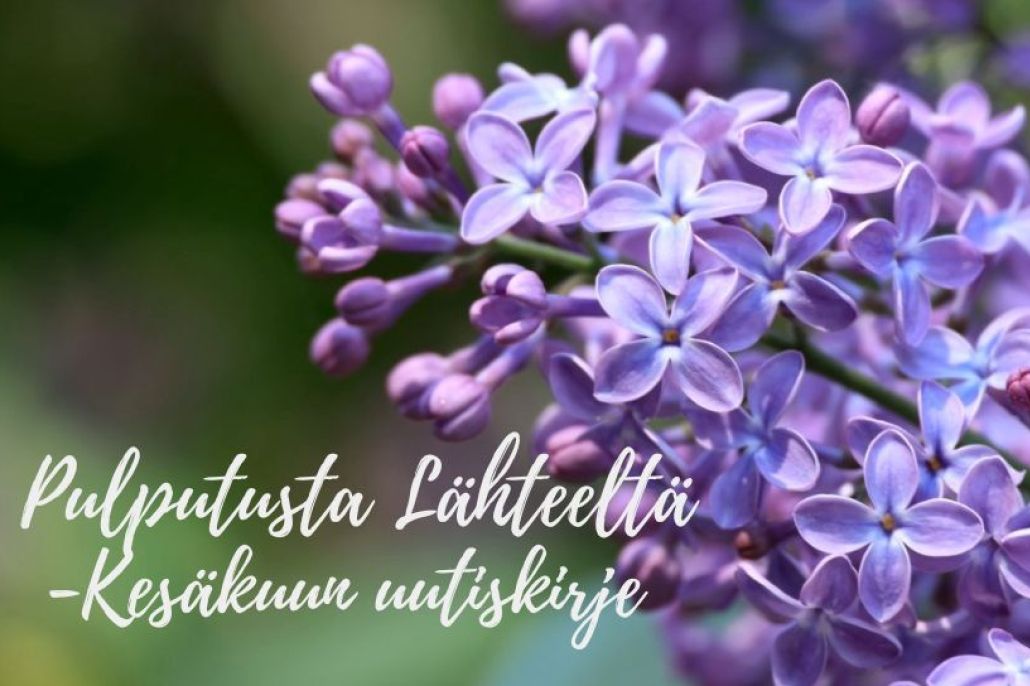 Kesäkuun uutiskirje – Pulputuksia Lähteeltä