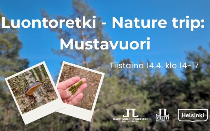 Luontoretki nature trip Mustavuori retken ajat ja logot. Taustakuva on Mustavuoresta mäntymetsää ja taivasta, pikkukuvissa Mustavuoresta kääpä ja havu kädellä