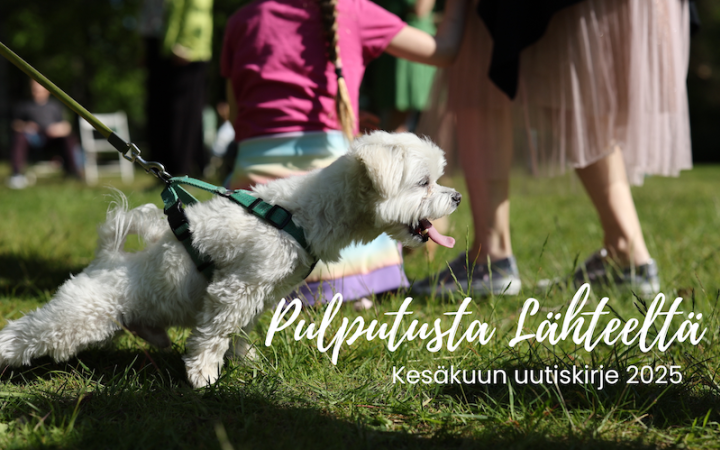 Kuvassa hauska valkoinen, innokas koira