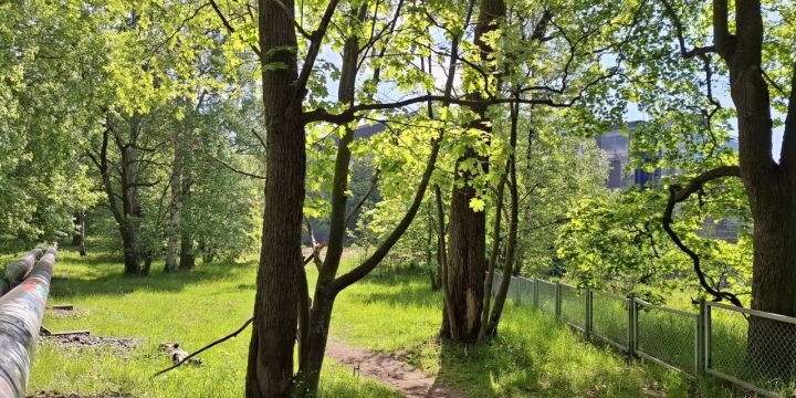 Aurinkoinen vehreä puisto