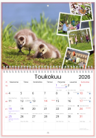 Lapinlahden Lähde vuosikalenteri 2026 toukokuu