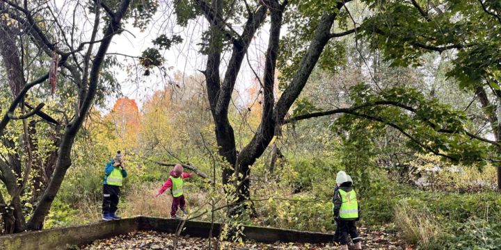 Lapsia keltaiset liivit päällä luonnossa liikkumassa.