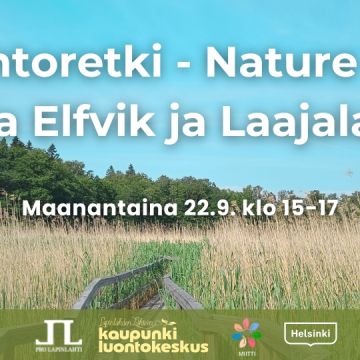 Luontoretki - Nature trip: Villa Elfvik ja Laajalahti event title, info and logos. Background is a common reed scenery from Villa Elfvik area with duckboards