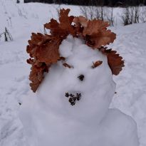 Hyvää joulua ja onnellista uutta vuotta toivottaa Lapinlahden lähteen Kaupunkiluontokeskus!