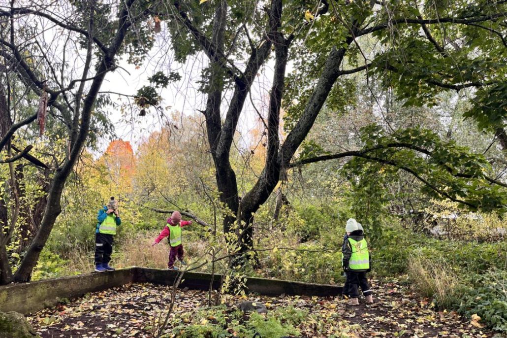 Lapsia keltaiset liivit päällä luonnossa liikkumassa.