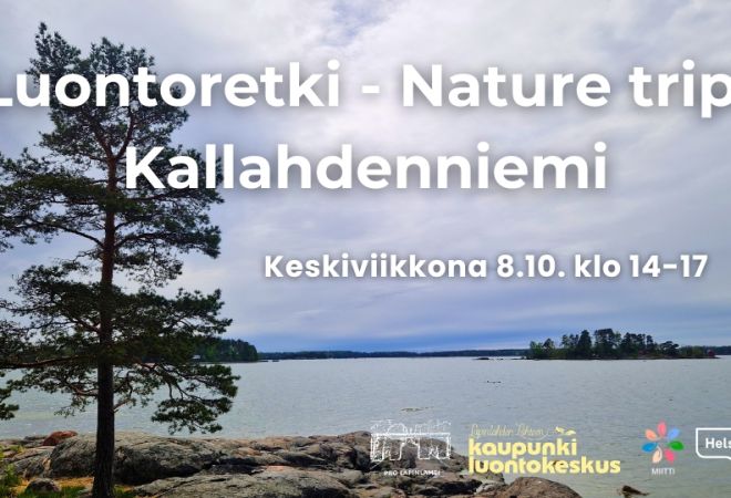Luontoretki - Nature trip: Kallahdenniemi event info and logos, background is Ilona Rautiainen's picture of Kallahdenniemi bay with a pine next to the sea view