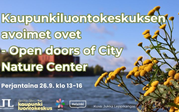 Kaupunkiluontokeskuksen avoimet ovet event info and logos. Background is Jukka Leppikangas's picture of Lapinlahti bay with some pietarinyrtti flowers