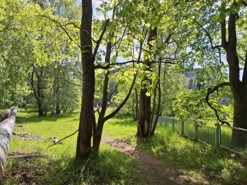 Aurinkoinen vehreä puisto