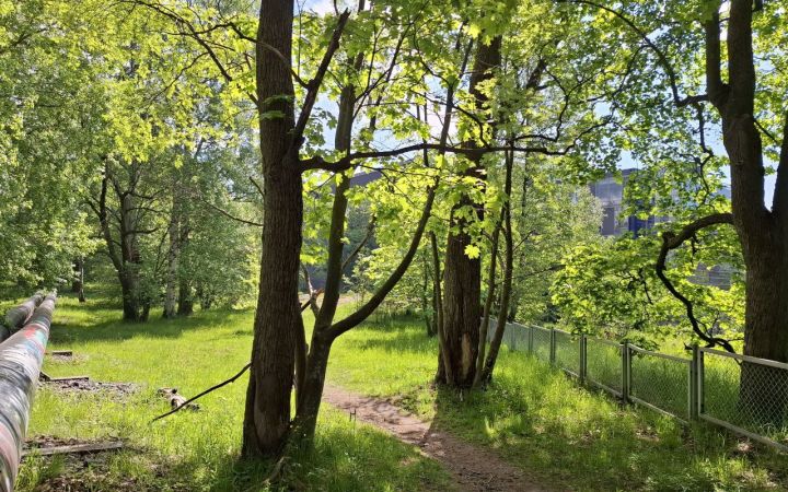 Aurinkoinen vehreä puisto