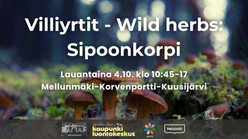 Villiyrtit - Wild herbs: Sipoonkorpi event title, info and logos. Background is funnel chanterelles in a forest