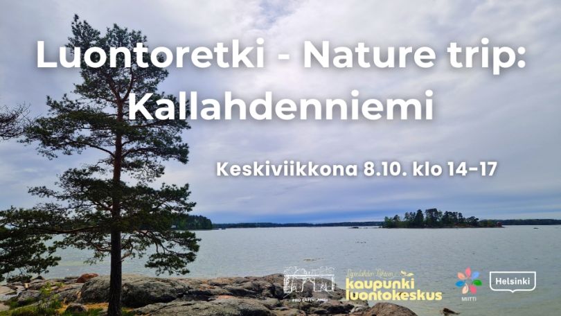 Luontoretki - Nature trip: Kallahdenniemi event info and logos, background is Ilona Rautiainen's picture of Kallahdenniemi bay with a pine next to the sea view