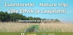Luontoretki - Nature trip: Villa Elfvik ja Laajalahti event title, info and logos. Background is a common reed scenery from Villa Elfvik area with duckboards