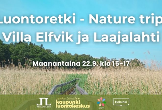 Luontoretki - Nature trip: Villa Elfvik ja Laajalahti event title, info and logos. Background is a common reed scenery from Villa Elfvik area with duckboards
