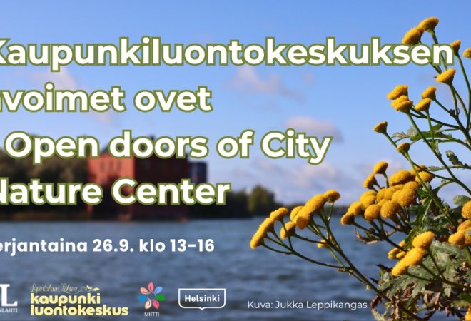 Kaupunkiluontokeskuksen avoimet ovet event info and logos. Background is Jukka Leppikangas's picture of Lapinlahti bay with some pietarinyrtti flowers