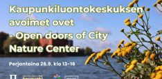 Kaupunkiluontokeskuksen avoimet ovet event info and logos. Background is Jukka Leppikangas's picture of Lapinlahti bay with some pietarinyrtti flowers