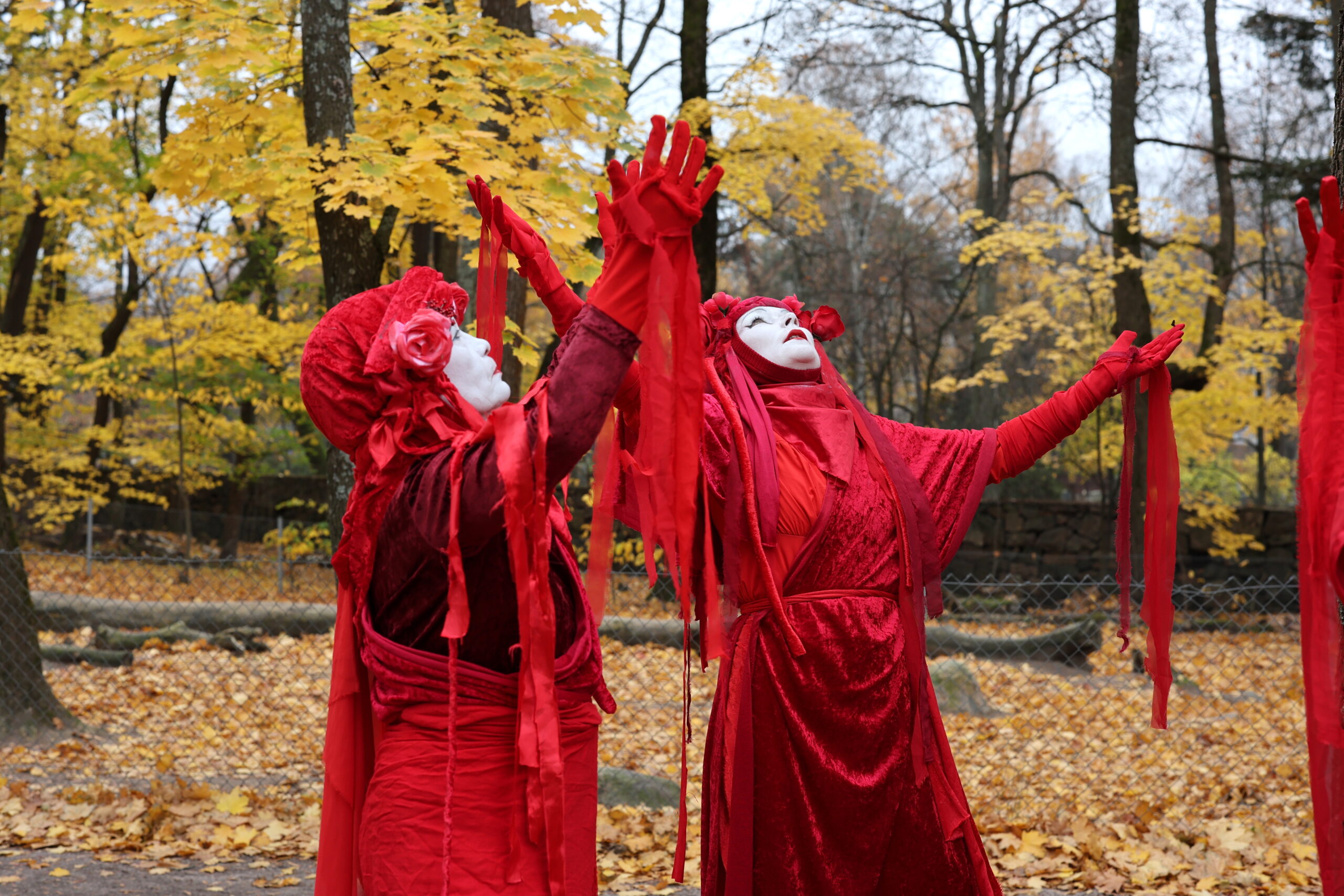 Kaksi punaisiin pukeutunutta naista kohottavat kätensä ja katseensa taivaalle keltaisten lehtien täyttämässä puistossa