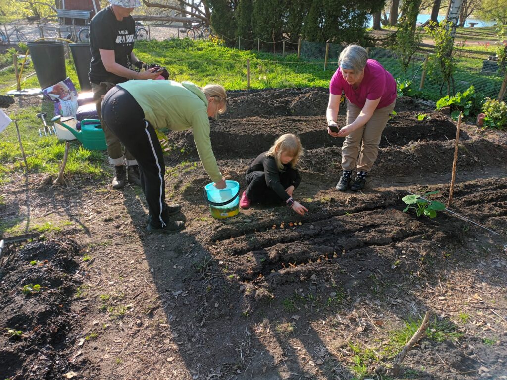 Yhteisöviljelykerho