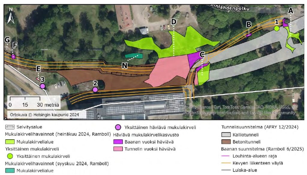 Kartassa näkyy tunnelin sijoittuminen puistoon. Noin puolet puiston laajimmasta ja elinvoimaisimmasta mukulakirvelikasvustosta hävitetään.