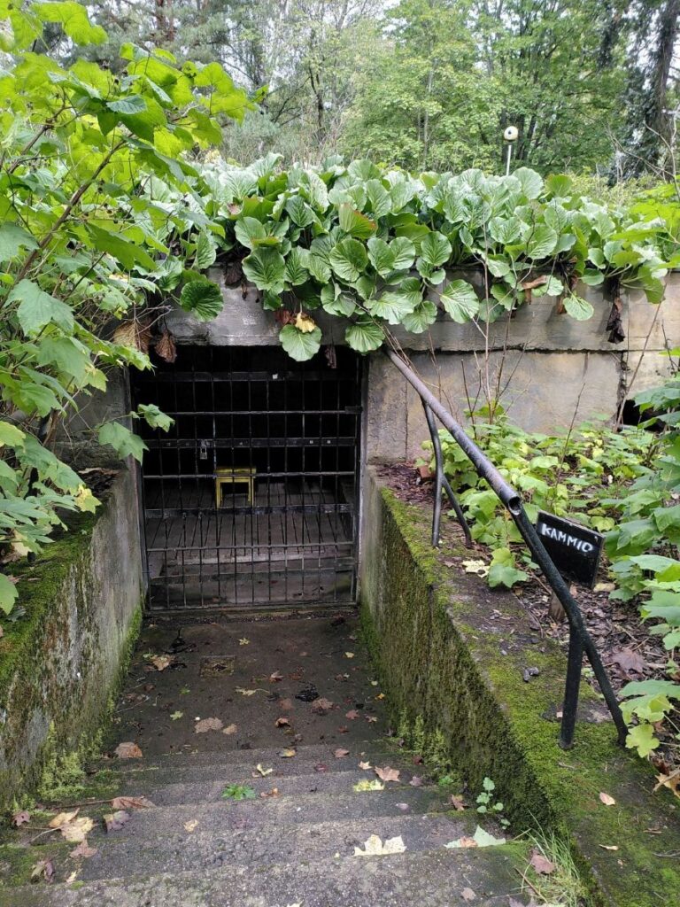 Kuvassa näkyy portaat alas kammioon ja kammion rautaristikko-ovi. Maassa on lehtiä ja kammion päällä paljon vehreitä kasveja.