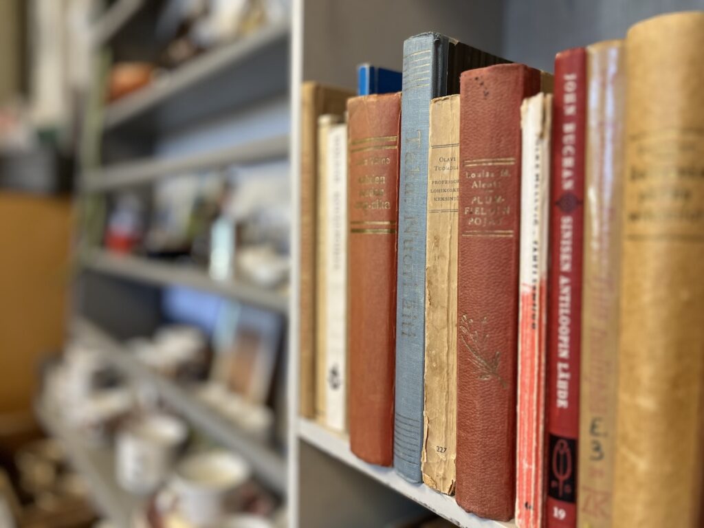 Kirjoja kirjahyllyssä