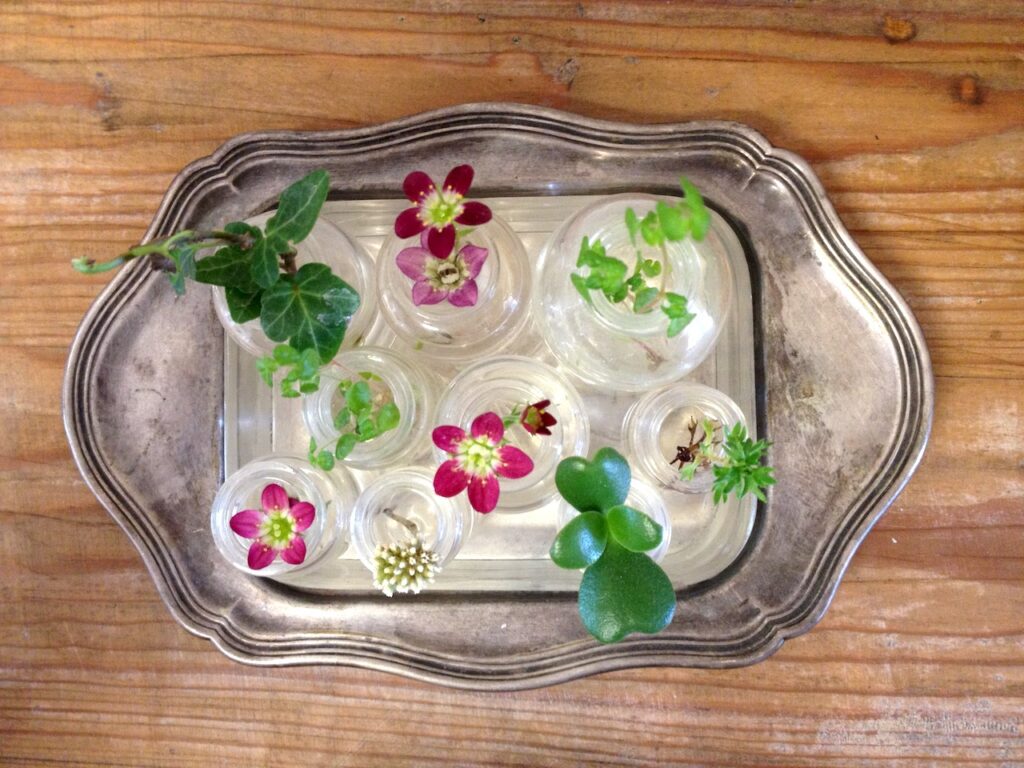 Tarjottimella laseissa kauniita kukkia.