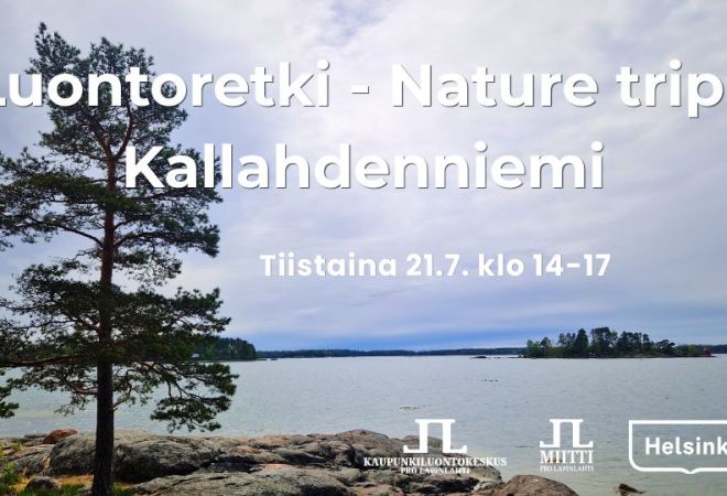 Luontoretki nature trip Kallahdenniemi aika ja logot. Taustakuva Kallahdenniemen kärjestä jossa mänty, kalliota ja laaja maisema merelle hieman pilvisellä säällä
