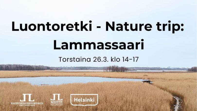 Luontoretki nature trip Lammassaari tapahtuman kuva jossa logot ja aika. Taustakuvassa keväinen maisema vanhankaupunginlahdelta järviruokoa ja lammassaari