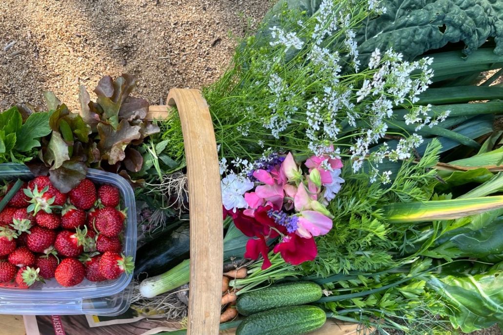 Sato jaetaan läsnäolijoiden kesken