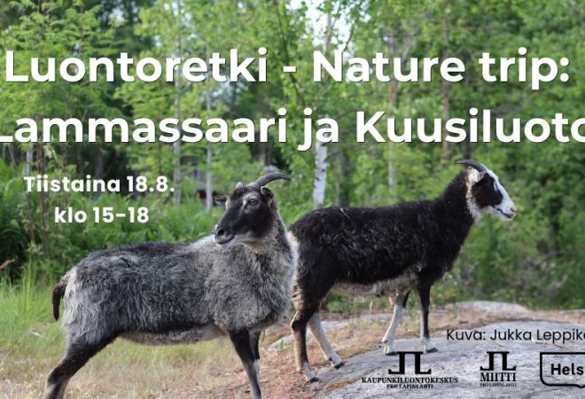 Luontoretki nature trip lammassaari ja kuusiluoto tapahtuman kansikuva jossa infot ja logot. Taustakuva on Jukka Leppikankaan ottama kuva kahdesta tummasta lampaasta Kuusiluodossa kesällä 2025