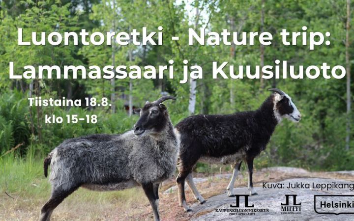 Luontoretki nature trip lammassaari ja kuusiluoto tapahtuman kansikuva jossa infot ja logot. Taustakuva on Jukka Leppikankaan ottama kuva kahdesta tummasta lampaasta Kuusiluodossa kesällä 2025