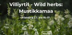 Villiyrtit wild herbs mustikkamaa tapahtuman aika ja logot. Taustakuvassa kukkivia mesiangervoja