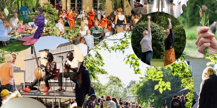 Kollaasi, jossa kuvia musiikki- ja liikuntatapahtumista sekä viljelypalstan porkkanasta.