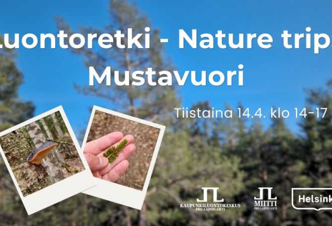 Luontoretki nature trip Mustavuori retken ajat ja logot. Taustakuva on Mustavuoresta mäntymetsää ja taivasta, pikkukuvissa Mustavuoresta kääpä ja havu kädellä