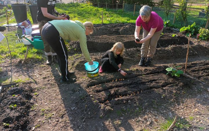 Yhteisöviljelykerho