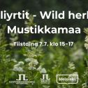 Villiyrtit wild herbs mustikkamaa tapahtuman aika ja logot. Taustakuvassa kukkivia mesiangervoja
