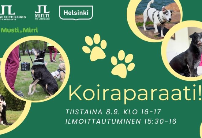 Koiraparaati kansikuva jossa ylhäällä vasemmalla logot, alhaalla oikealla tapahtuman lyhyet tiedot. Vihreä tausta jossa keltaisia ympyröitä joiden sisällä neljä eri koiraa Lapinlahdesta