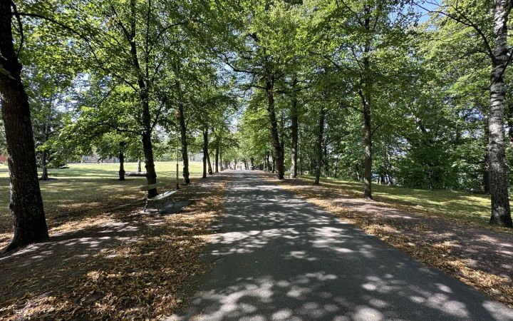 Kuvassa Lapinlahden Lähteen puukuja kesäisessä vehreydessä.