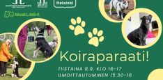 Koiraparaati kansikuva jossa ylhäällä vasemmalla logot, alhaalla oikealla tapahtuman lyhyet tiedot. Vihreä tausta jossa keltaisia ympyröitä joiden sisällä neljä eri koiraa Lapinlahdesta