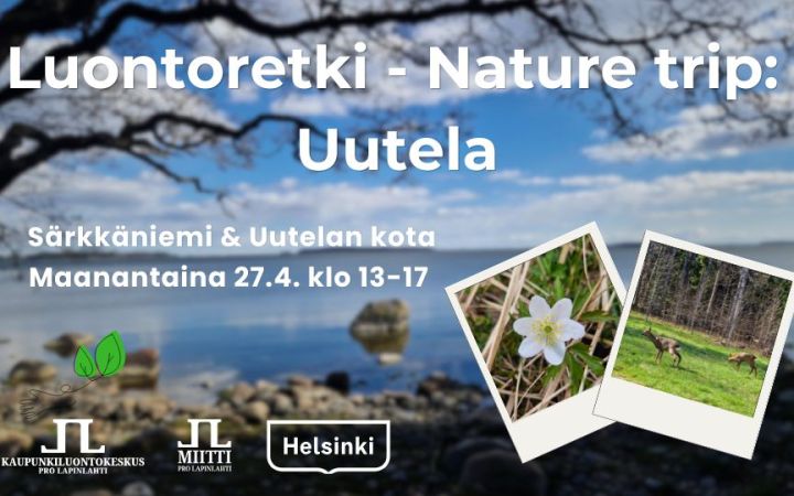 Luontoretki nature trip Uutela aikataulu ja logot ja mainintana Särkkäniemi ja Uutelan kota. Taustakuva Särkkäniemen rannasta, pikkukuvat Uutelasta valkovuokko ja metsäkauriit